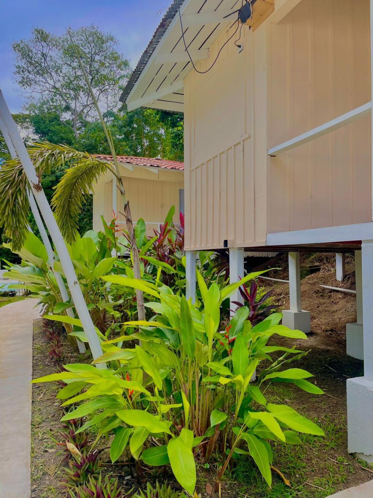 فندق Grand Park Manuel Antonio - Adults Only المظهر الخارجي الصورة